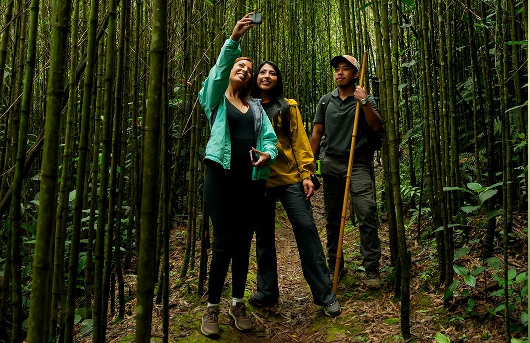 Hikers with walking sticks in the Ram Tzul bamboo forest