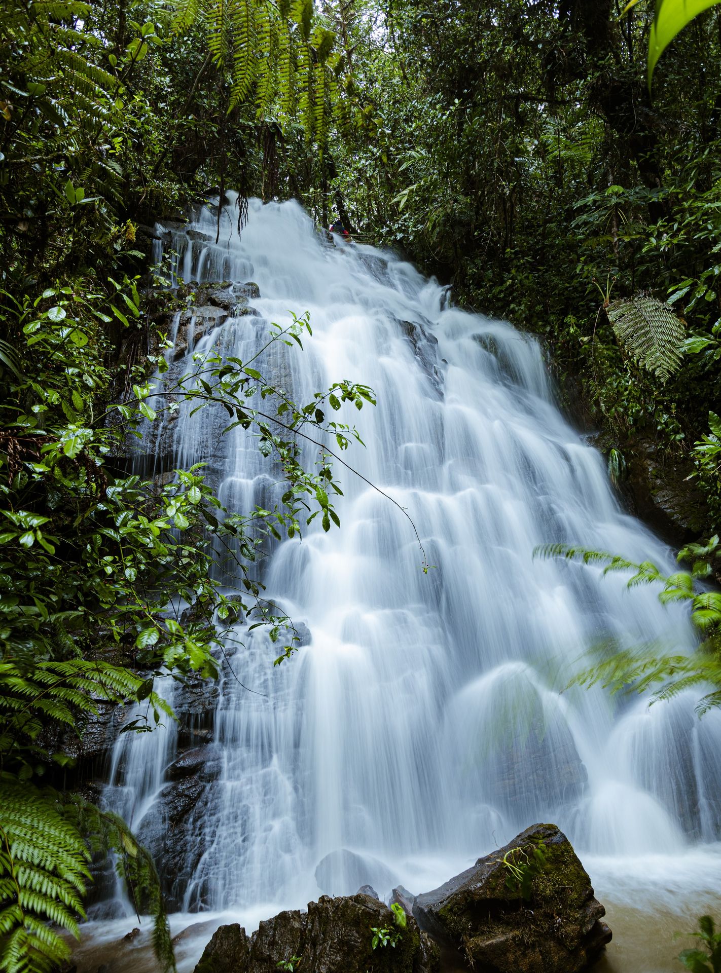 Cascada de varios niveles entre helechos y bosque nuboso en la reserva Ram Tzul