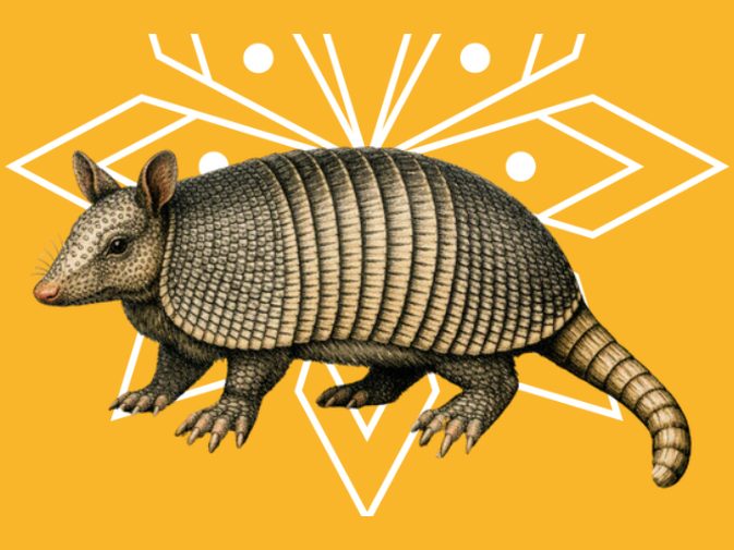 Ilustración de Armadillo de nueve bandas (Dasypus novemcinctus)